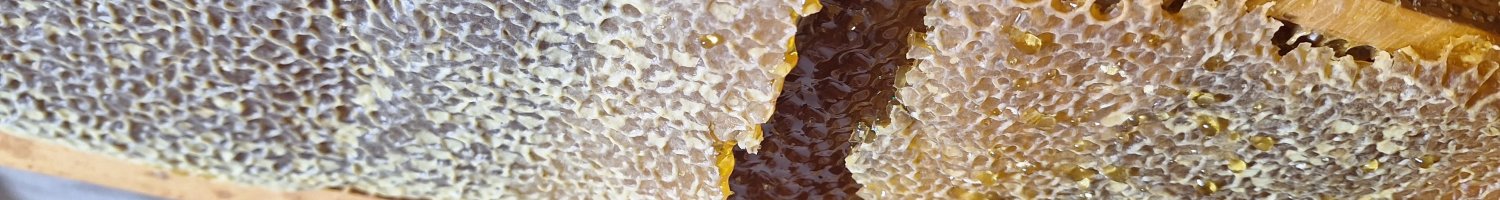 Le miel biologique : la pureté au service de la nature