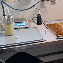 Bocal de gelée royale et plateau de cupules au laboratoire d'extraction de la ferme